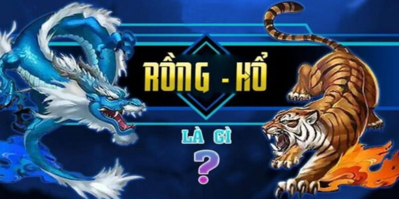 Những thông tin về Rồng hổ online Bet88